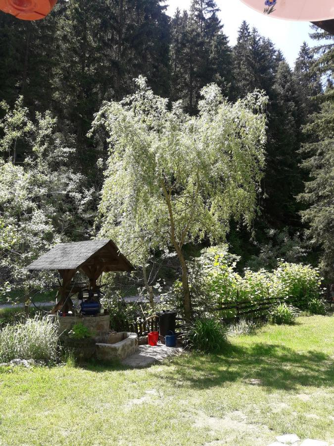 Villa Sastanci-Grahovaca Rozhajë Esterno foto